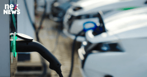 case-study-2-electri_1677676461881198238.webp