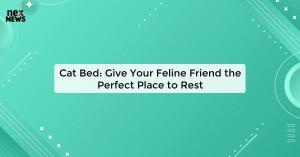 cat-bed-give-your-f_1719821545808816497.webp