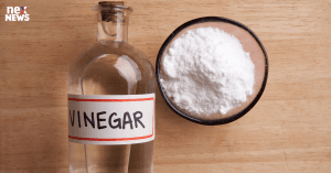 cleaning-vinegar-vs_1702658147434604279.webp