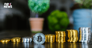 crypto-hot-wallet-vs_1692812446518832514.webp