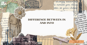 difference-between-i_170572301411726636.webp