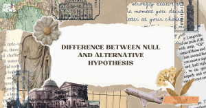 difference-between-n_1705982672638917287.webp