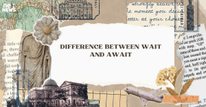 difference-between-w_1705809200728281217.webp