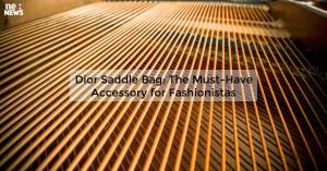 dior-saddle-bag-the_1719812168732371011.webp