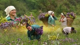 how-a-manipur-woman_1743065627620444974.webp