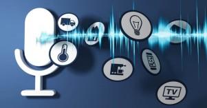 how-voice-assistants_1734000497890813041.webp