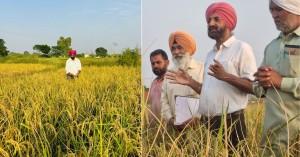 ias-officer-turns-fa_1742976302841089223.webp