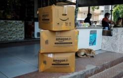india-eases-foreign_1784889490357359122.webp