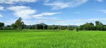 innovative-rural-inv_1742469576543297638.webp