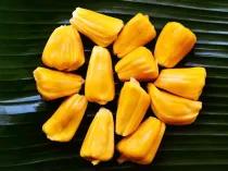 jackfruit-the-ultim_1742632982322846256.webp