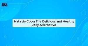 nata-de-coco-the-de_1719821550944414235.webp