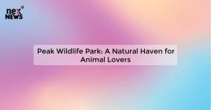 peak-wildlife-park_1719029215395209666.webp