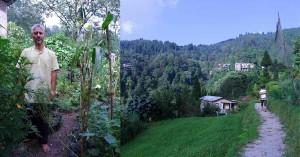 restoring-darjeeling_1743496275357265967.webp