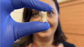 scientists-grow-real_1744976999697484615.webp