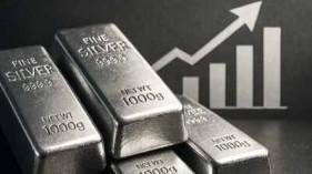 silver-import-restri_1784799405997470634.webp