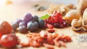 the-best-superfoods_1734344775163403573.webp