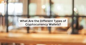 what-are-the-differe_1727675541583062232.webp