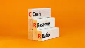 what-is-a-bank-cash_1733471261836281648.webp