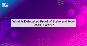 what-is-delegated-pr_1727675588507555060.webp