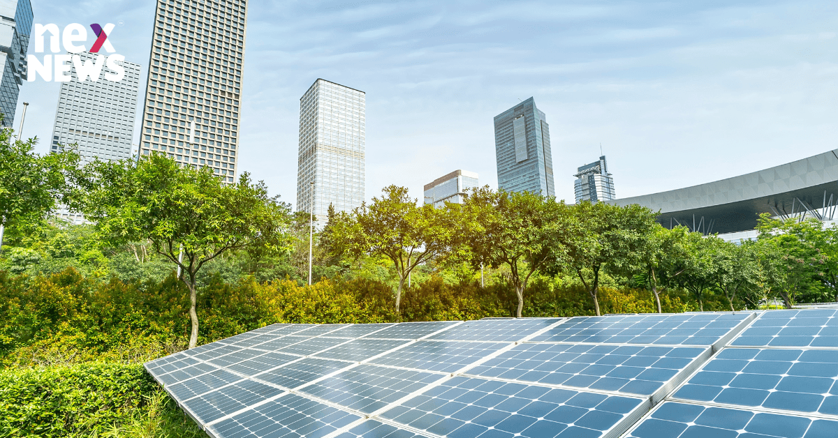 Why Installing a Solar Power Plant is More Affordable? Why Installing a Solar Power Plant is More Affordable?