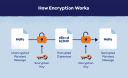 How Encryption Works: A Beginner's Guide to Protecting Digital Data how-encryption-works_1783953503353109469.webp